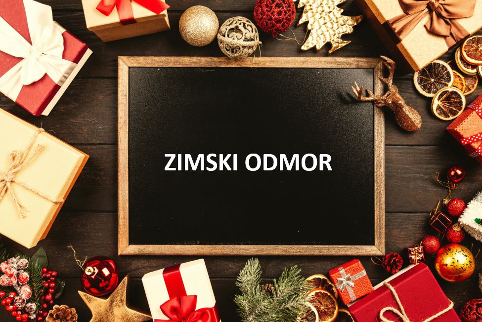 ZIMSKI ODMOR