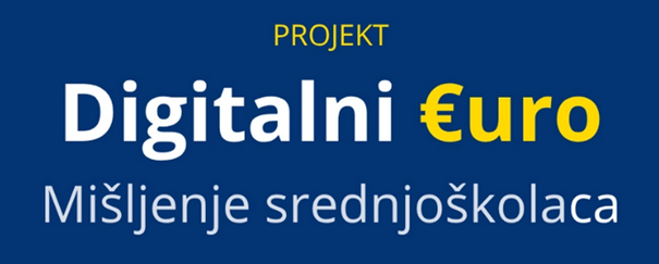 Međunarodni projekt